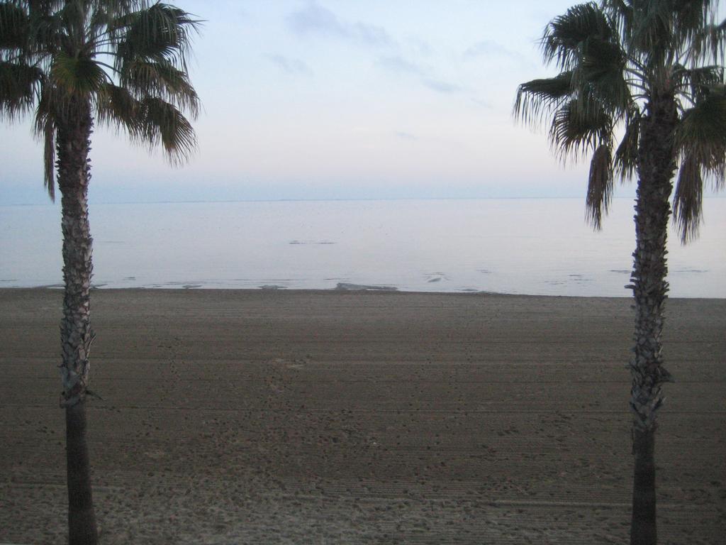 Apartamento Illa Mar Sant Carles De La Rapita Room photo